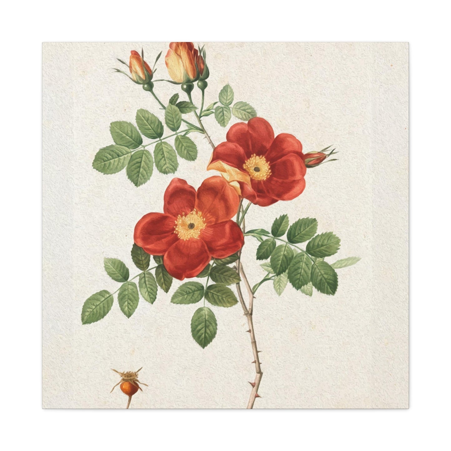 Printed Flower Wall Art & Canvas Prints