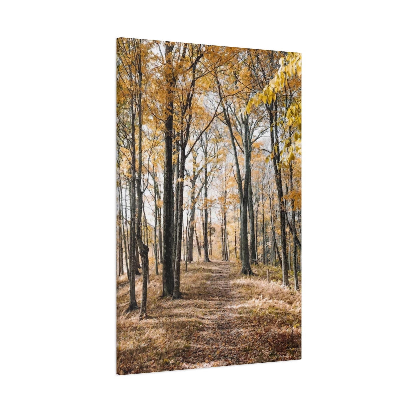 Fall Wall Art & Canvas Prints