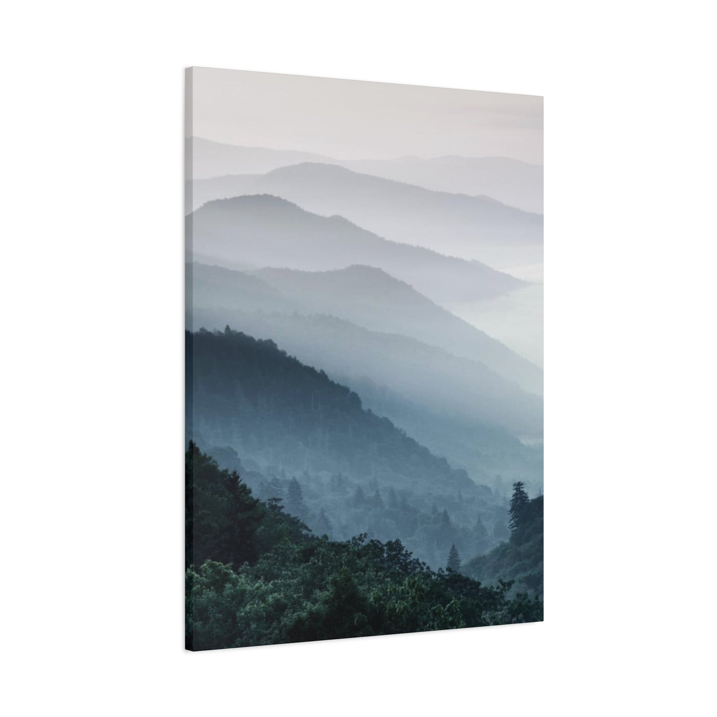 Tropical Forest View Wall Art & Canvas Prints