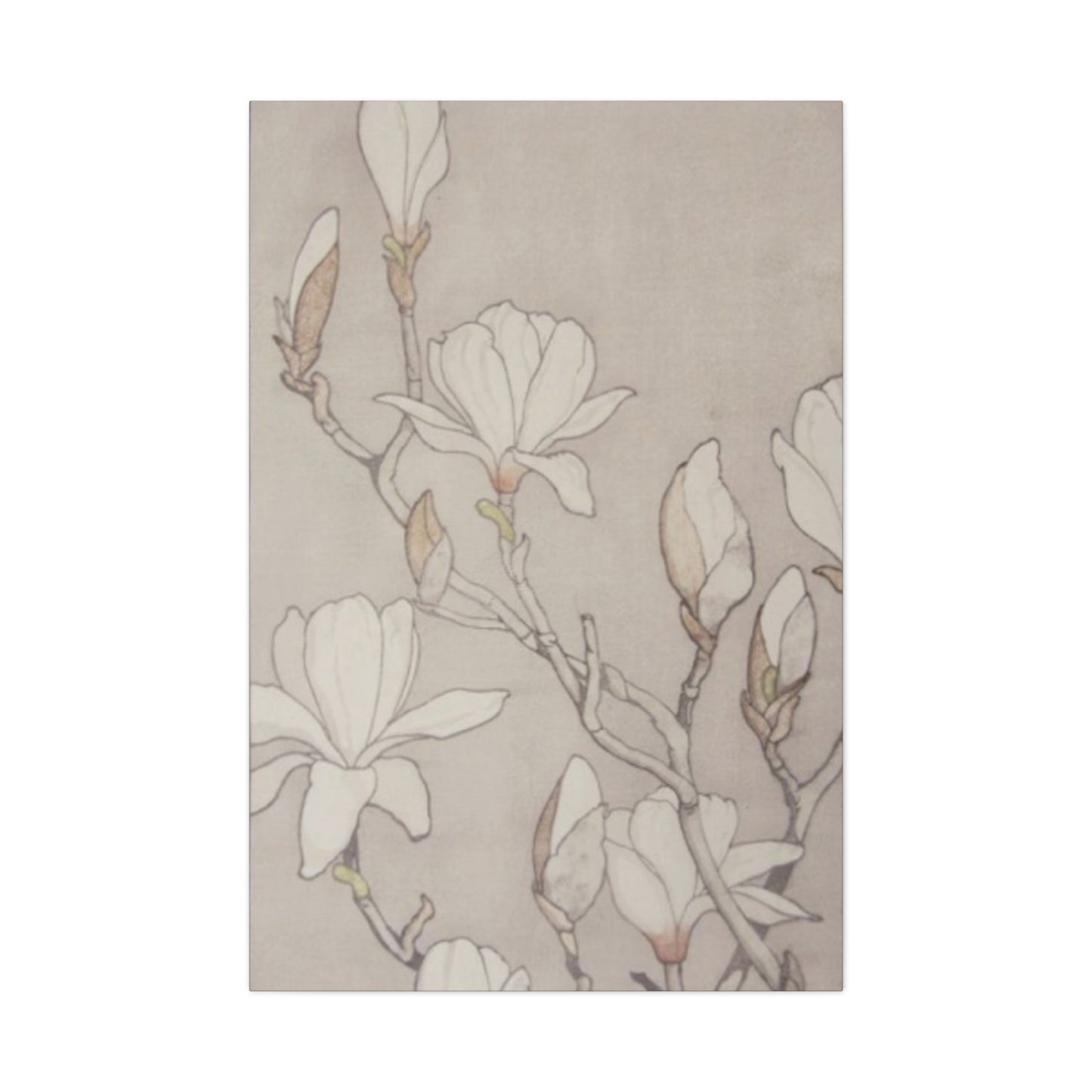 Beautiful Vintage Magnolia Flower Painting Wall Art & Canvas Prints