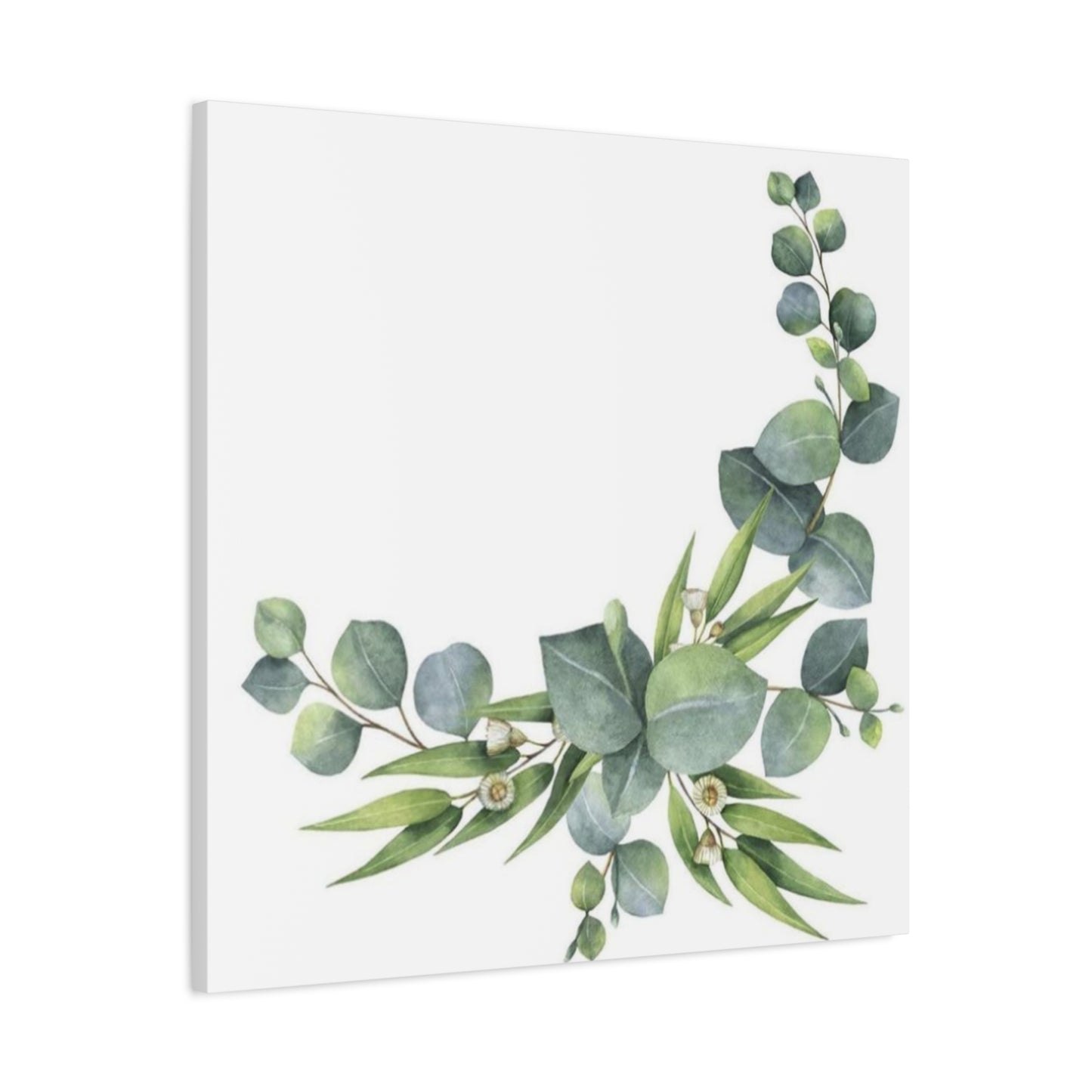 Flower of Eucalyptus Wall Art & Canvas Prints