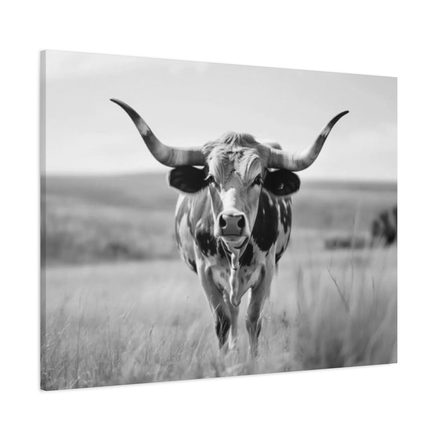 Monochrome Curvy Long Horn Wall Art & Canvas Prints