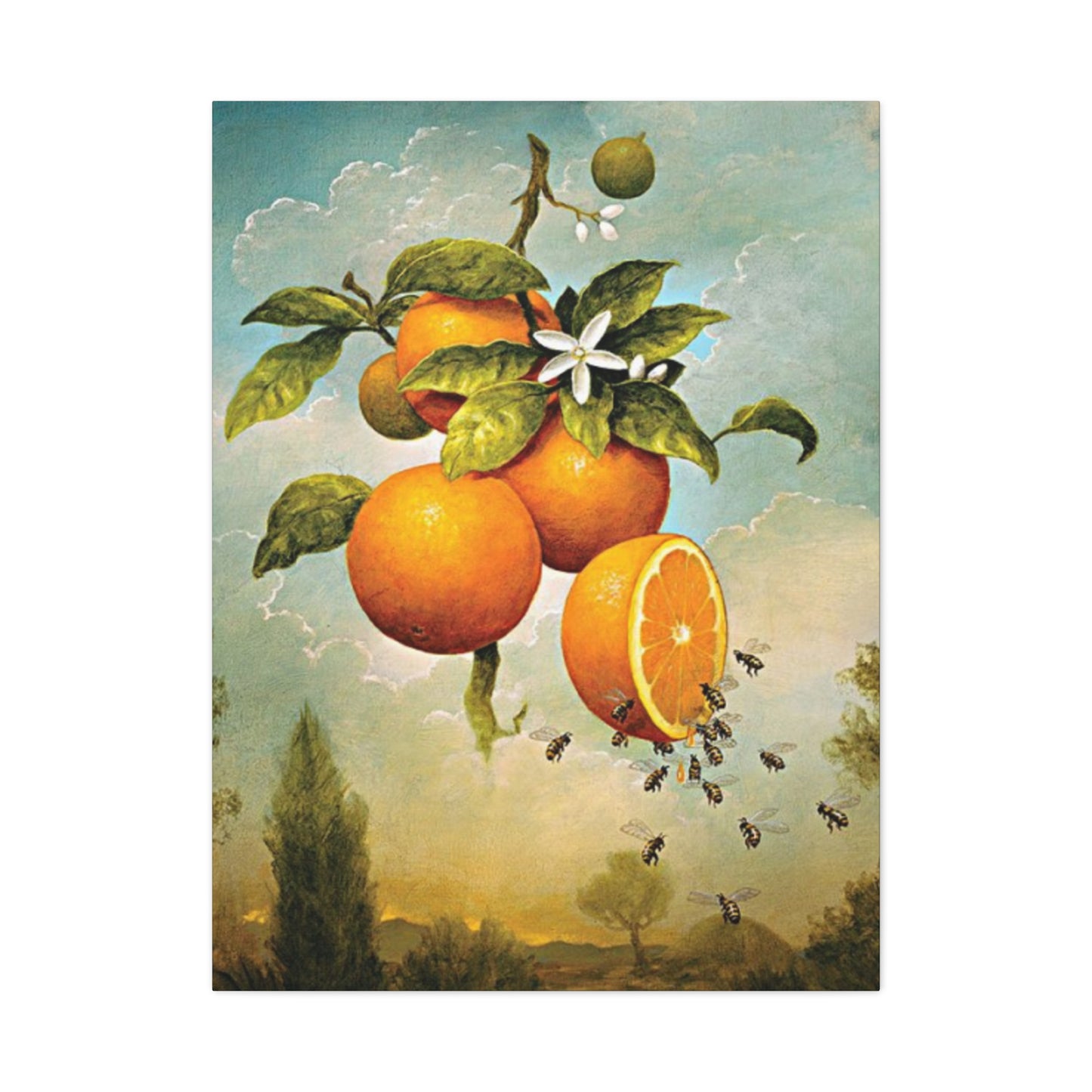 Orange Fruit Wall Art & Canvas Prints