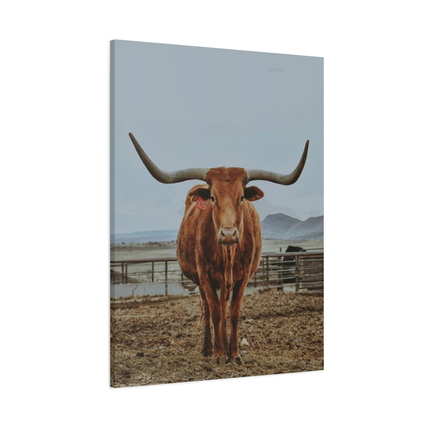 Wild Brown Buffalo Longhorn Wall Art & Canvas Prints