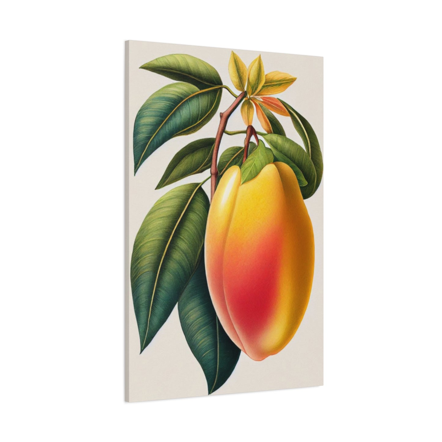 Mango Wall Art & Canvas Prints