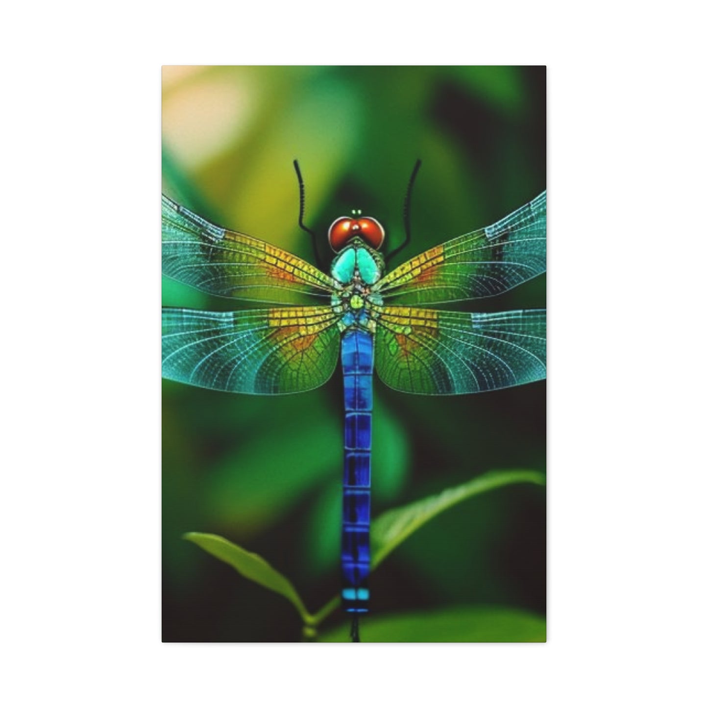 Dragonfly Top Closeup Wall Art & Canvas Prints