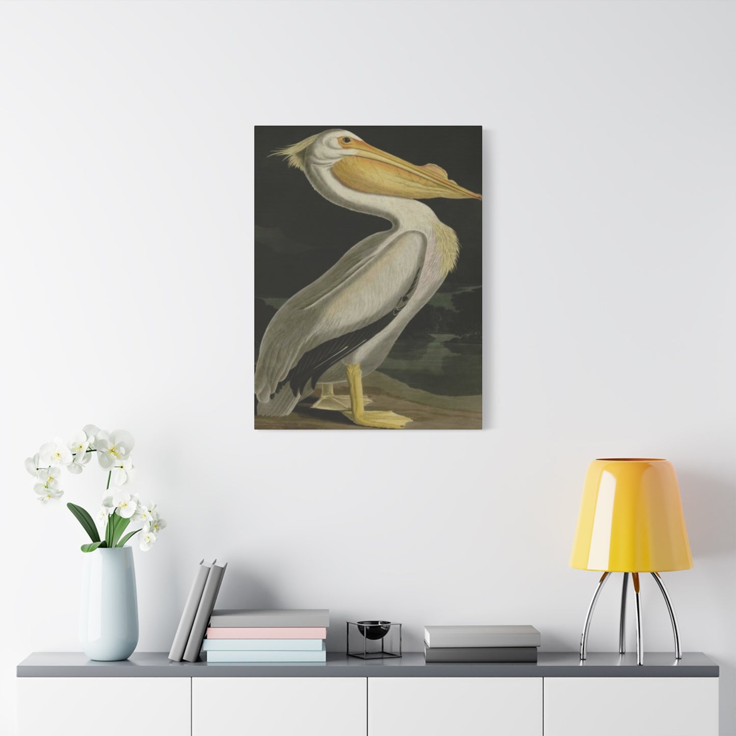 Fat Beak Pelican Poster Wall Art & Canvas Prints