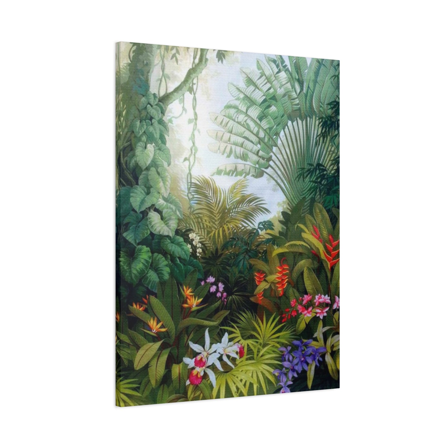 Dense Forest Wall Art & Canvas Prints