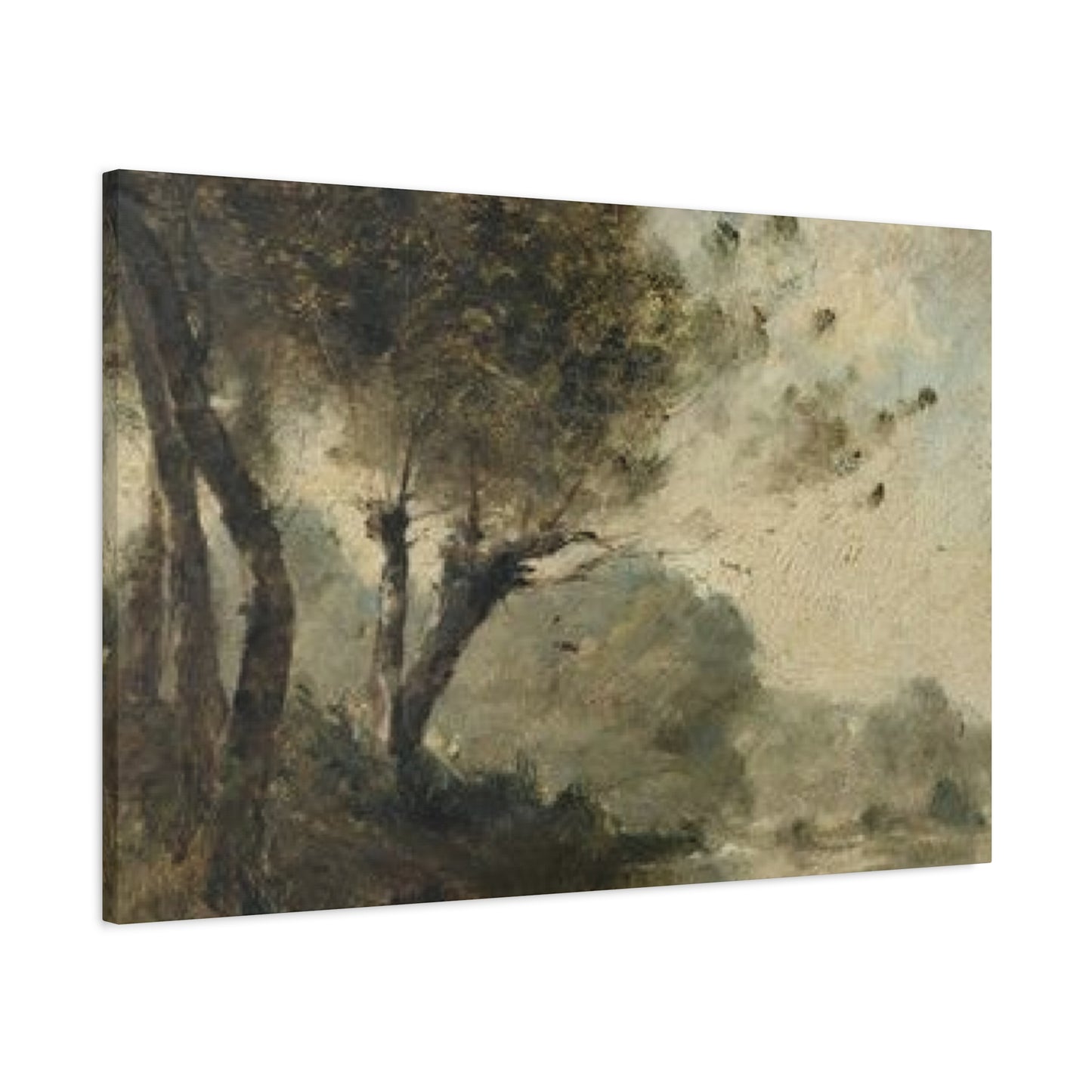 Fine Tree Wall Art & Canvas Prints