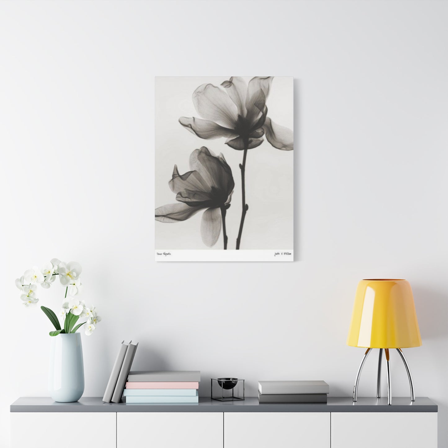 Beautiful Magnolia Flower X Ray Photo Wall Art & Canvas Prints