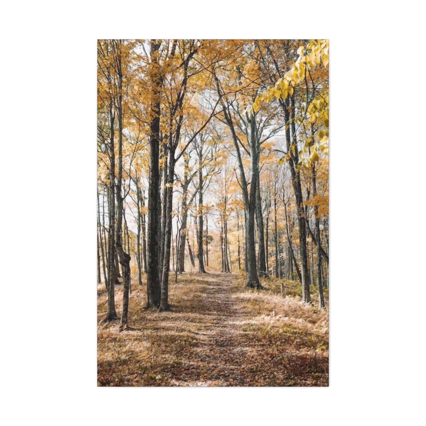 Fall Wall Art & Canvas Prints