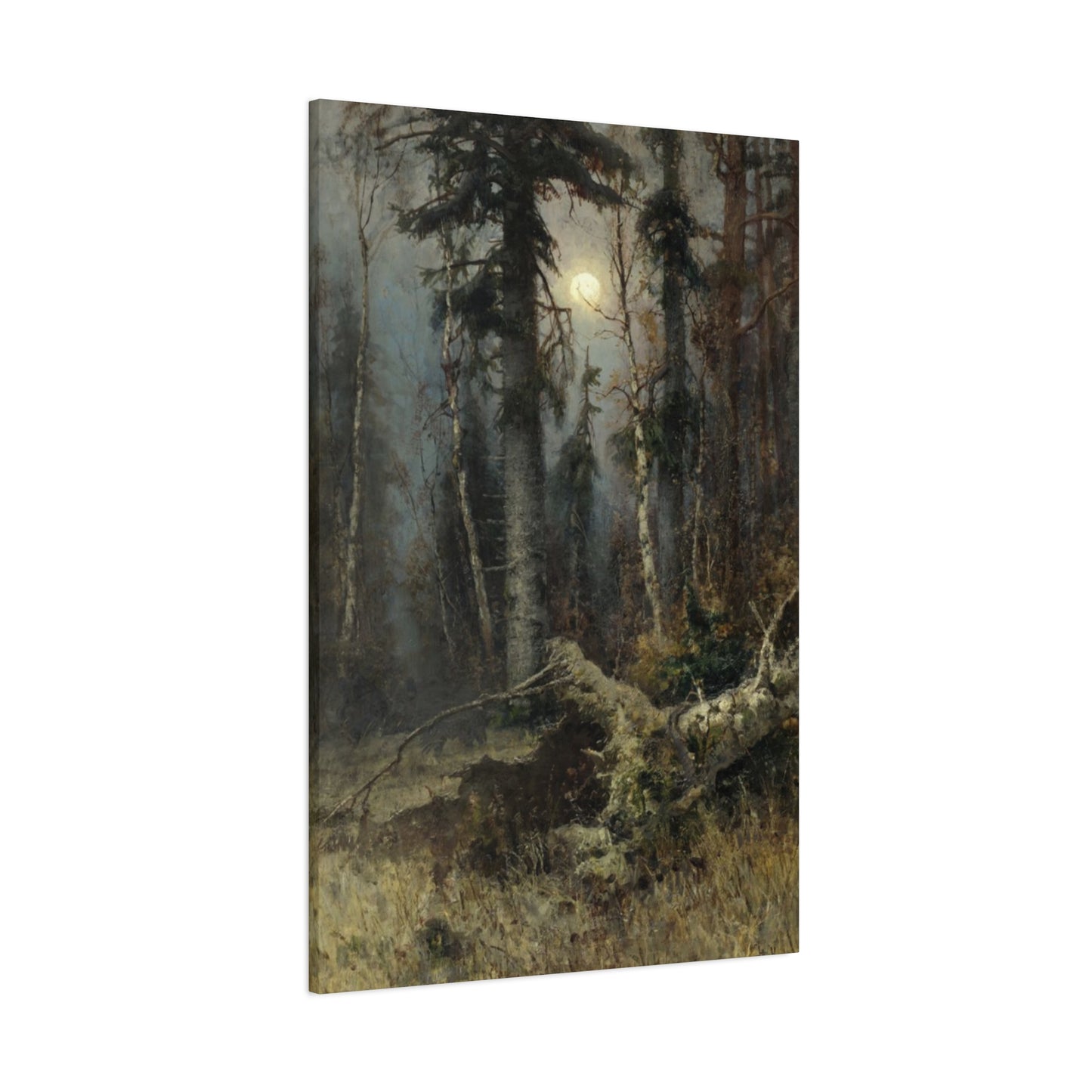 Full Moon Forest Wall Art & Canvas Prints