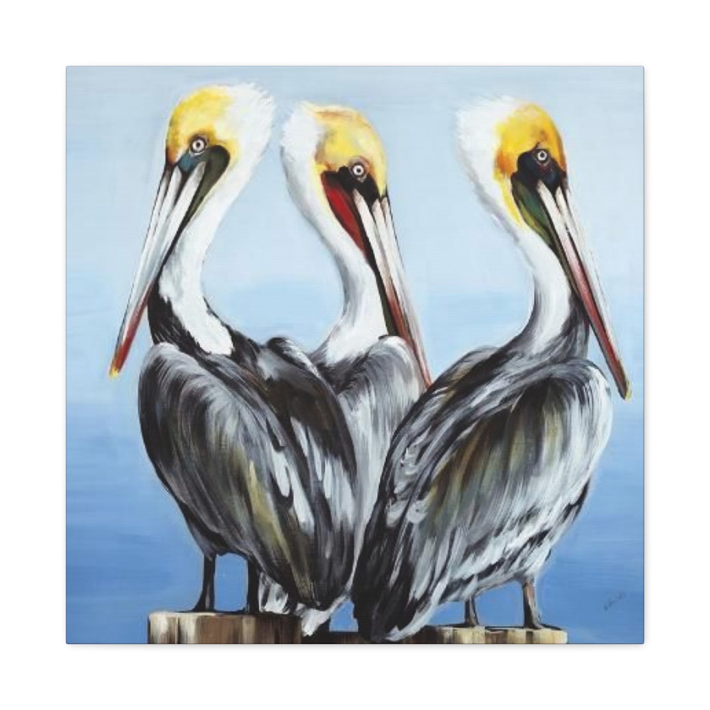 Three Pelican Family Poster Wall Art & Canvas Prints