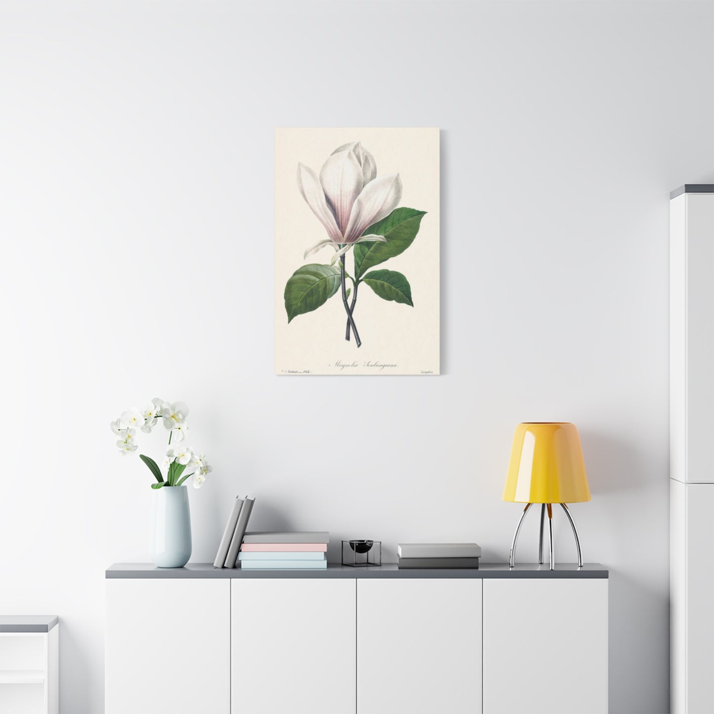 Beautiful Pink Magnolia Flower Painting Wall Art & Canvas Prints