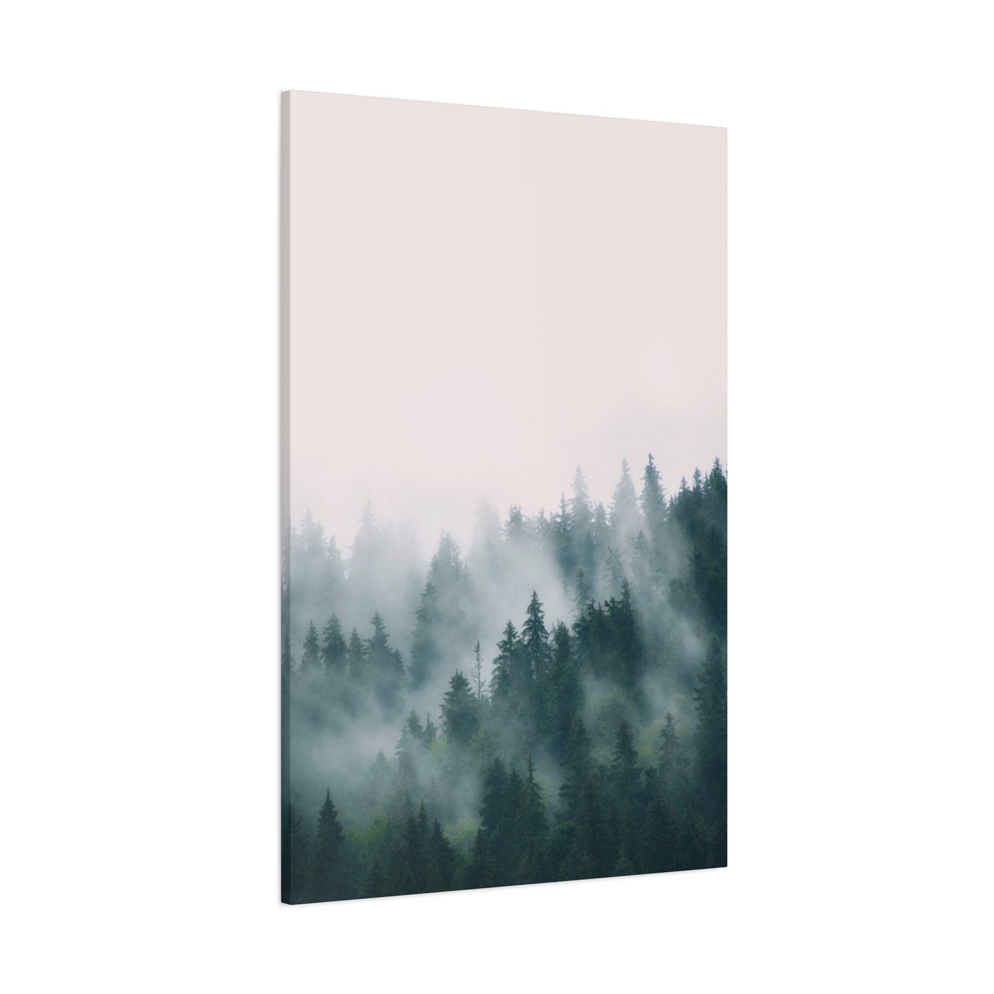 Pine Forest Wall Art & Canvas Prints