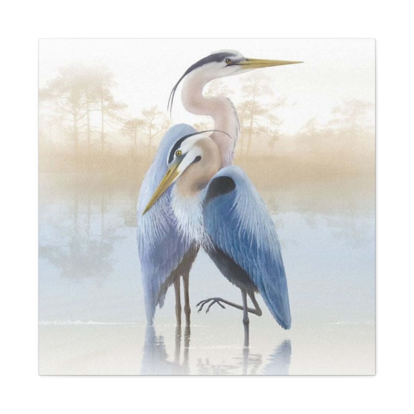 Beautiful Couple Herons Wall Art & Canvas Prints