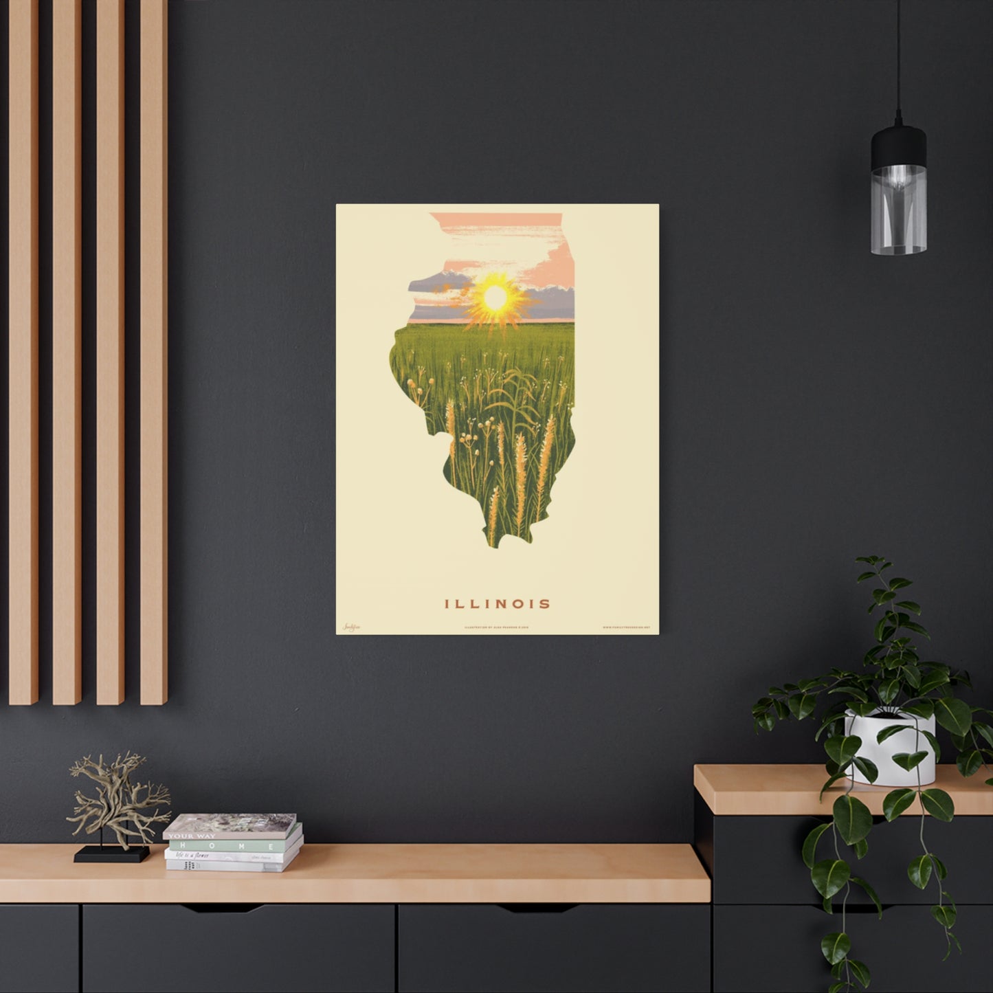 Illinois The National Park Wall Art & Canvas Prints