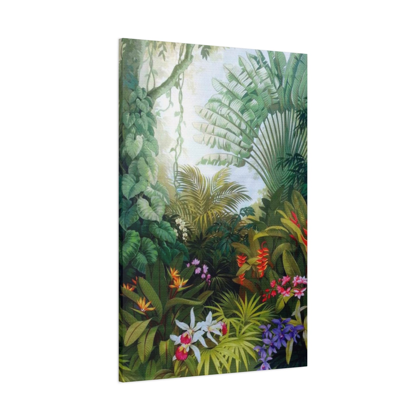 Dense Forest Wall Art & Canvas Prints