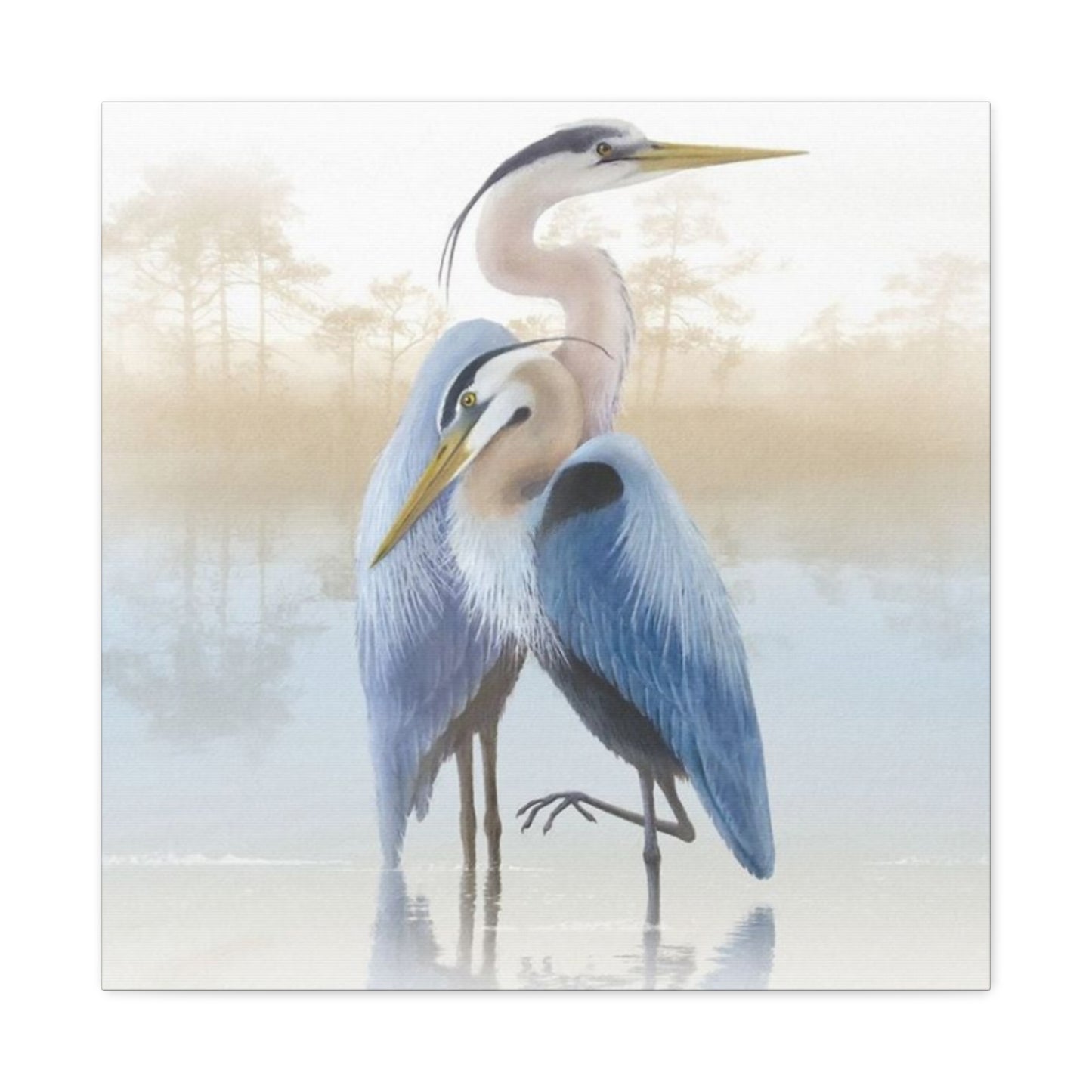 Beautiful Couple Herons Wall Art & Canvas Prints