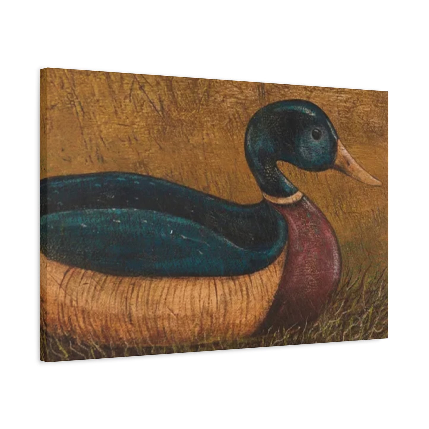 Duck Kimble Warren Wall Art & Canvas Prints