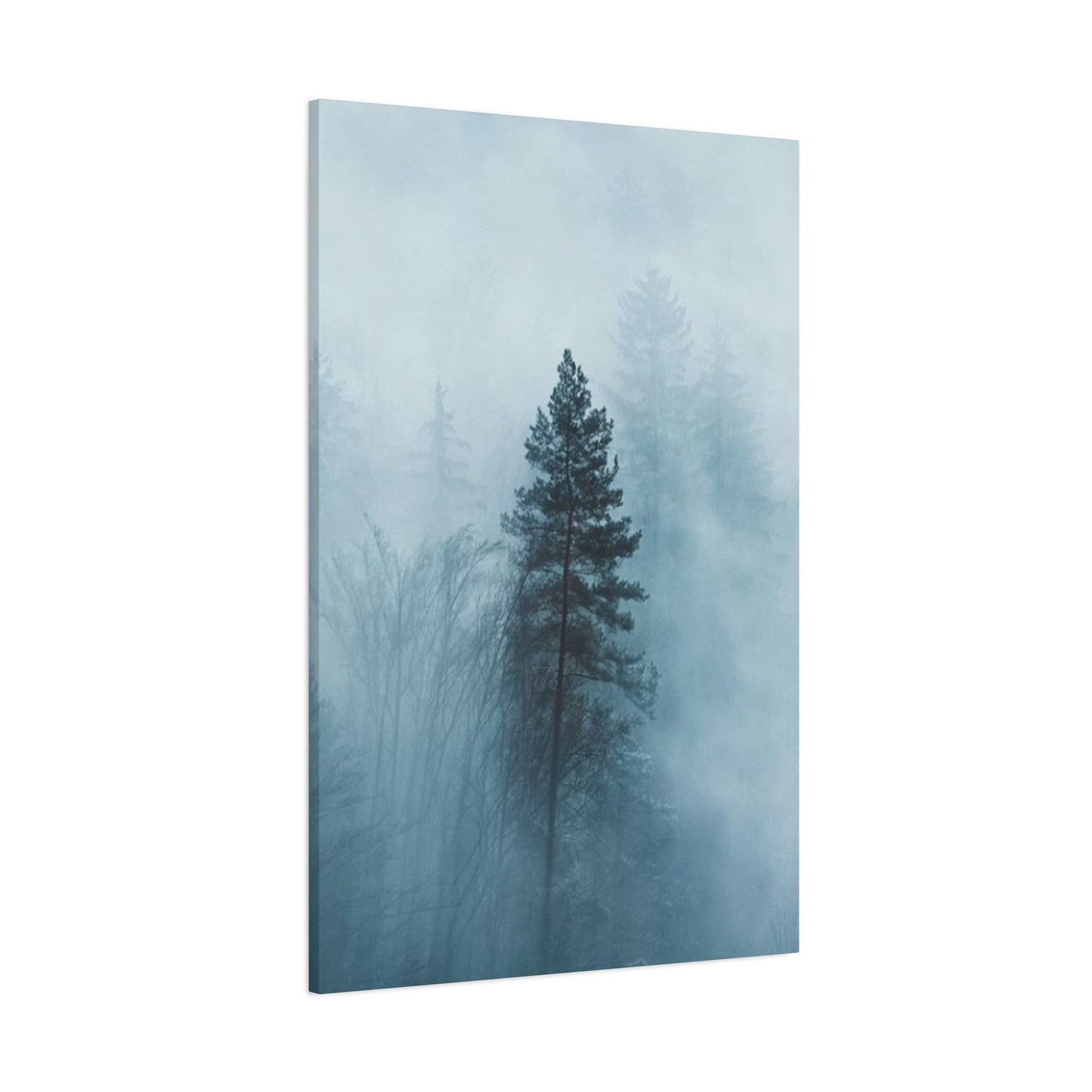 Tropical rain Forest Wall Art & Canvas Prints