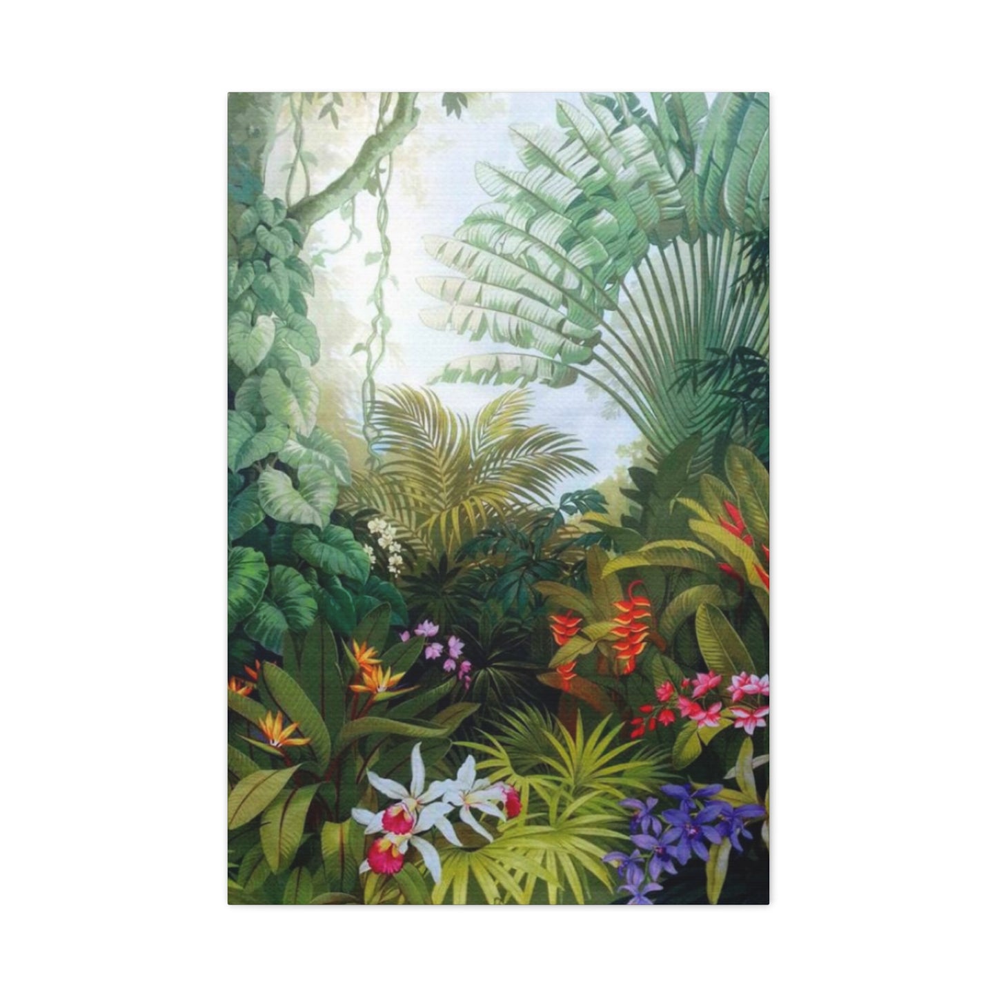 Dense Forest Wall Art & Canvas Prints