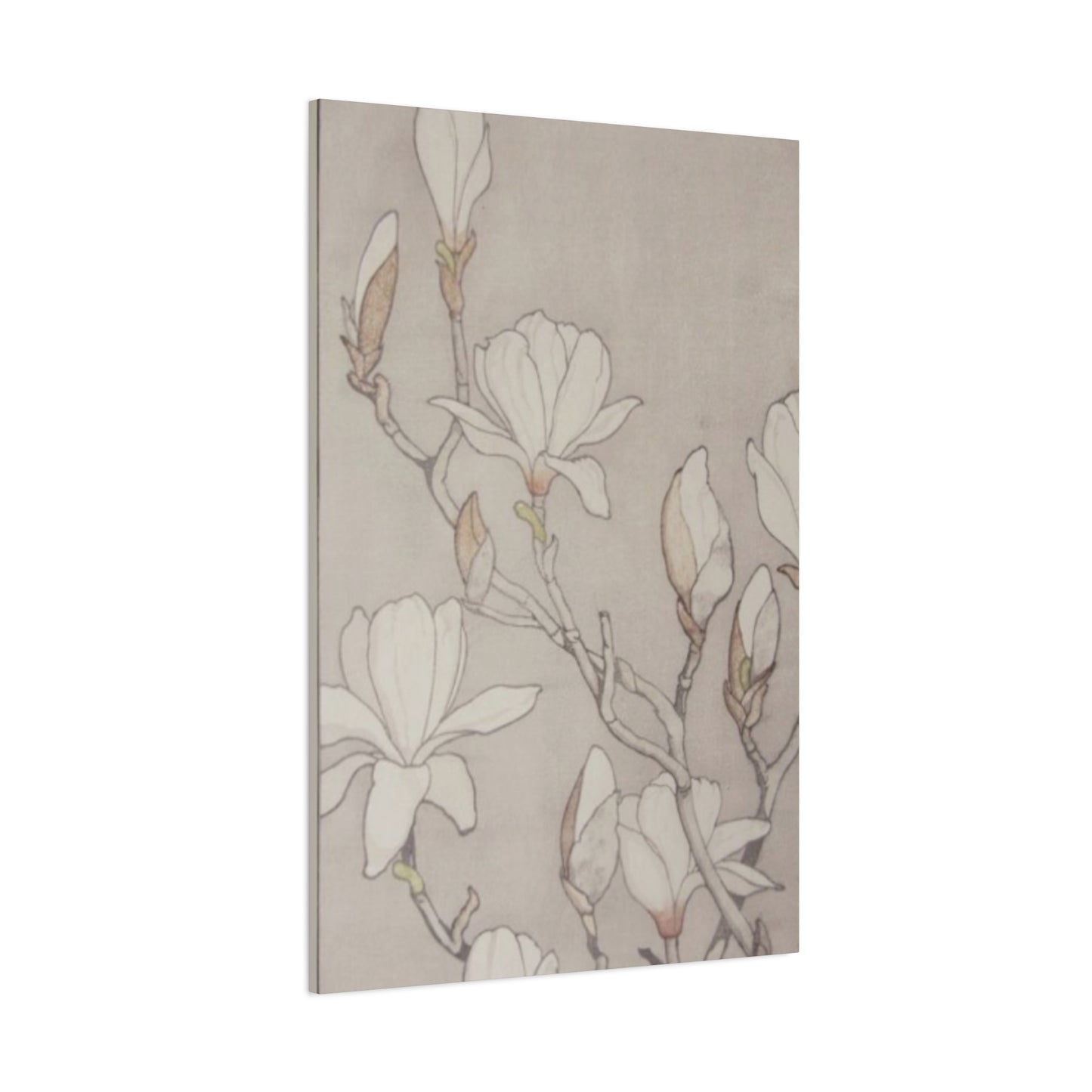 Beautiful Vintage Magnolia Flower Painting Wall Art & Canvas Prints