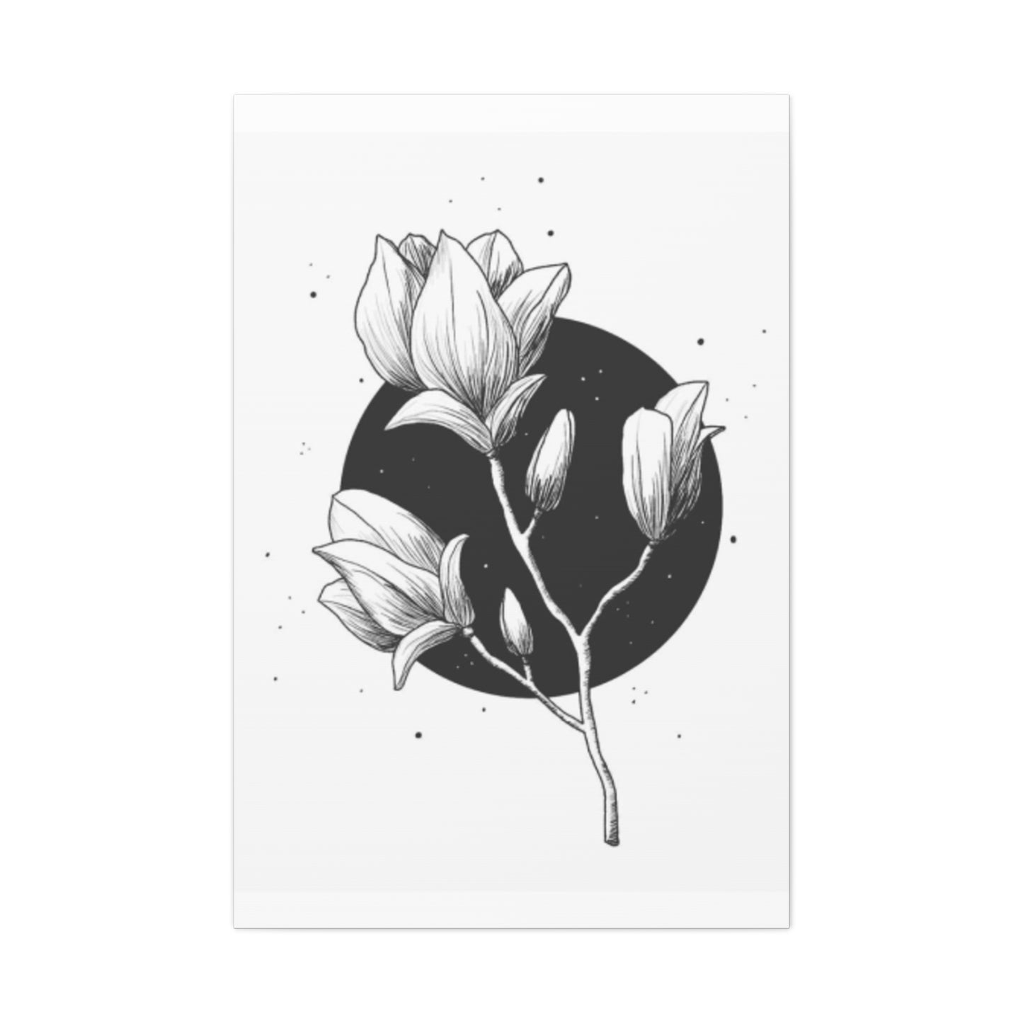 Beautiful Monochrome Magnolia Flower Plant Wall Art & Canvas Prints