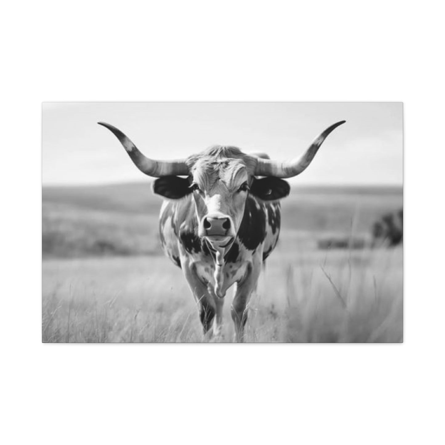 Monochrome Curvy Long Horn Wall Art & Canvas Prints