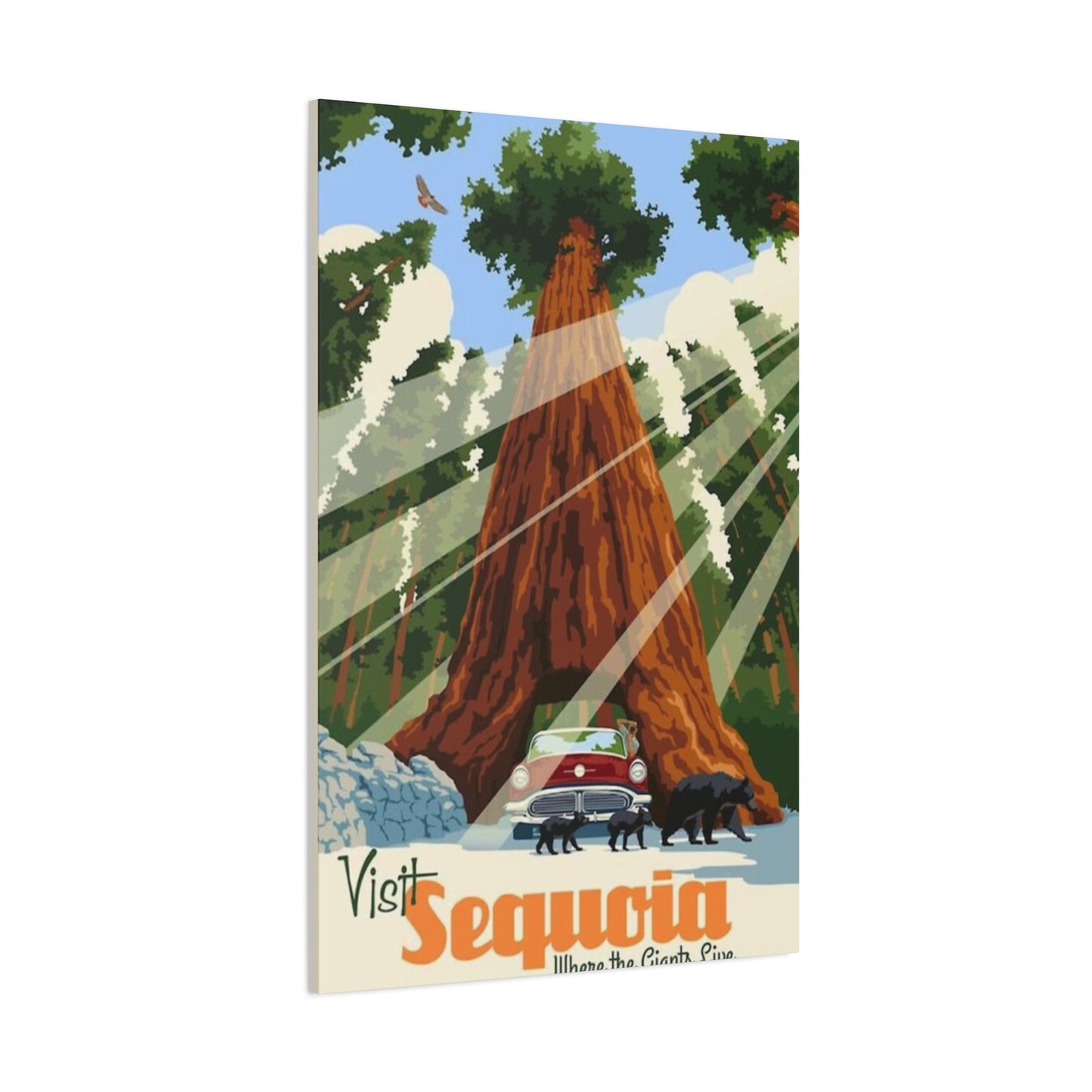 Sequoia Poster The National Park Wall Art & Canvas Prints