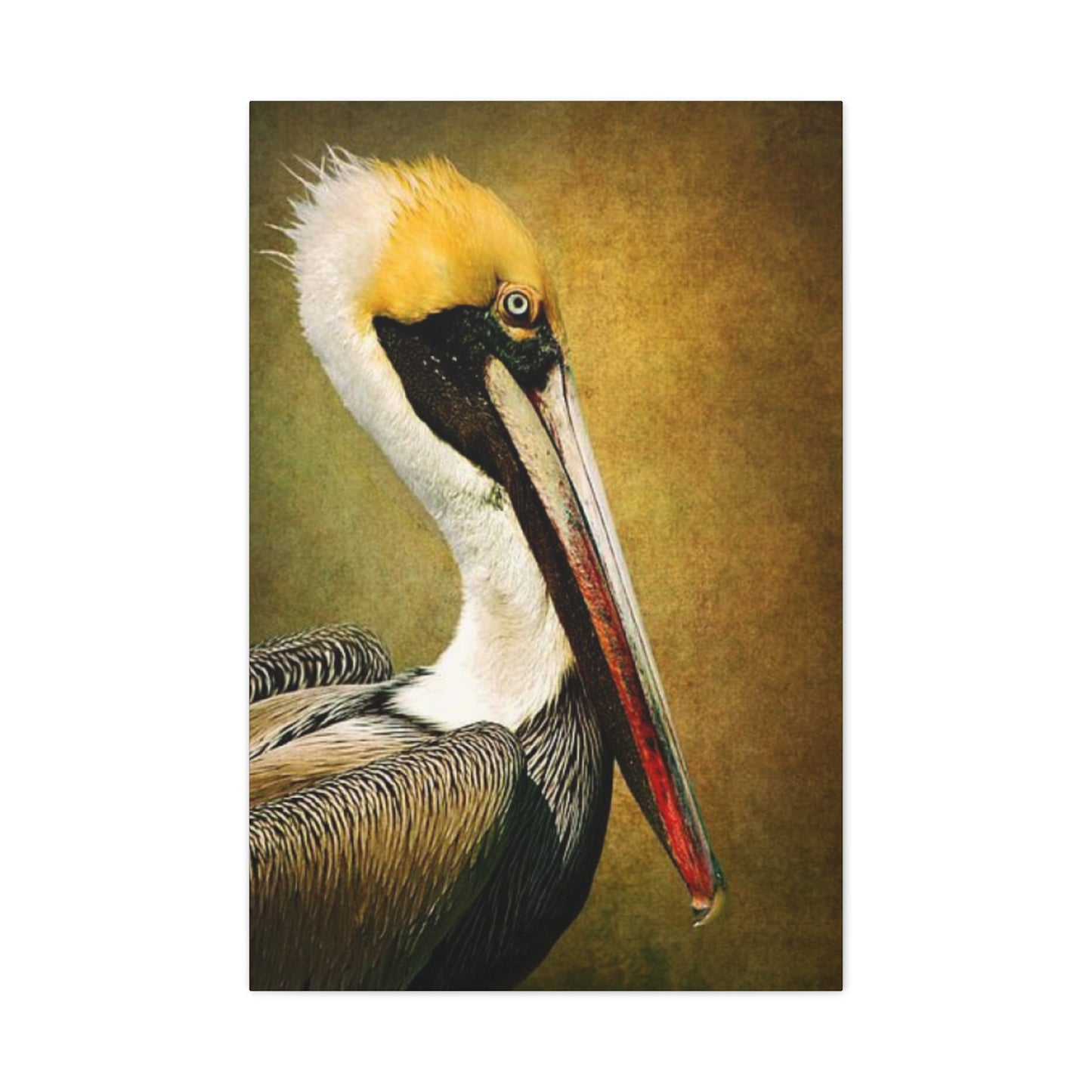 Long Beak Pelican Candid Close Up Drawing Wall Art & Canvas Prints