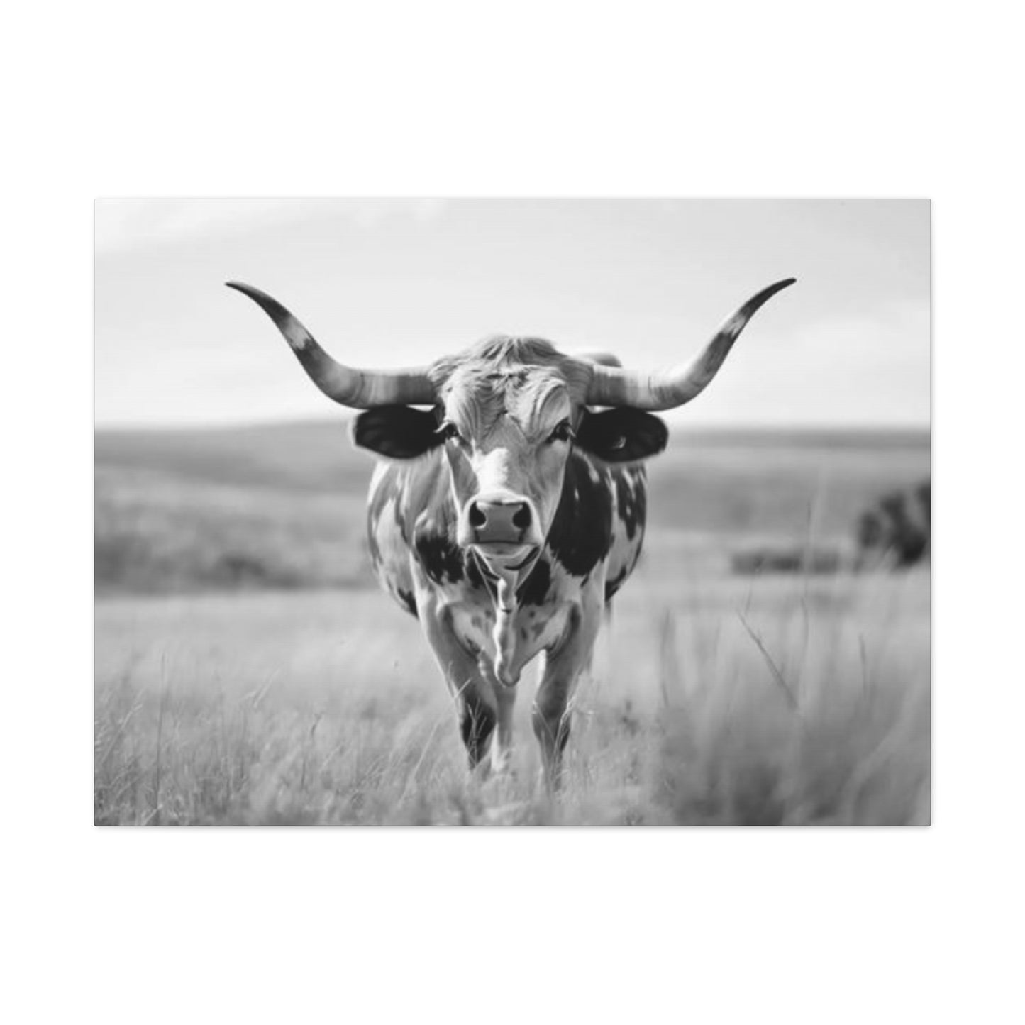 Monochrome Curvy Long Horn Wall Art & Canvas Prints