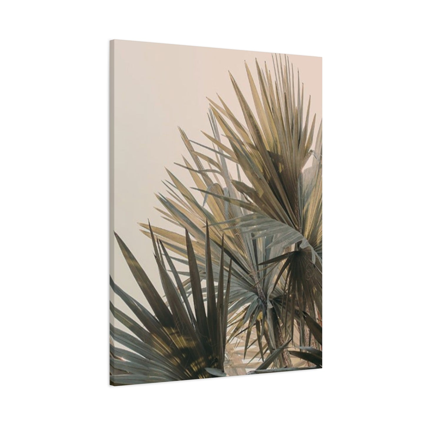 Palm Tree Leaves Close Up Wall Art & Canvas Prints