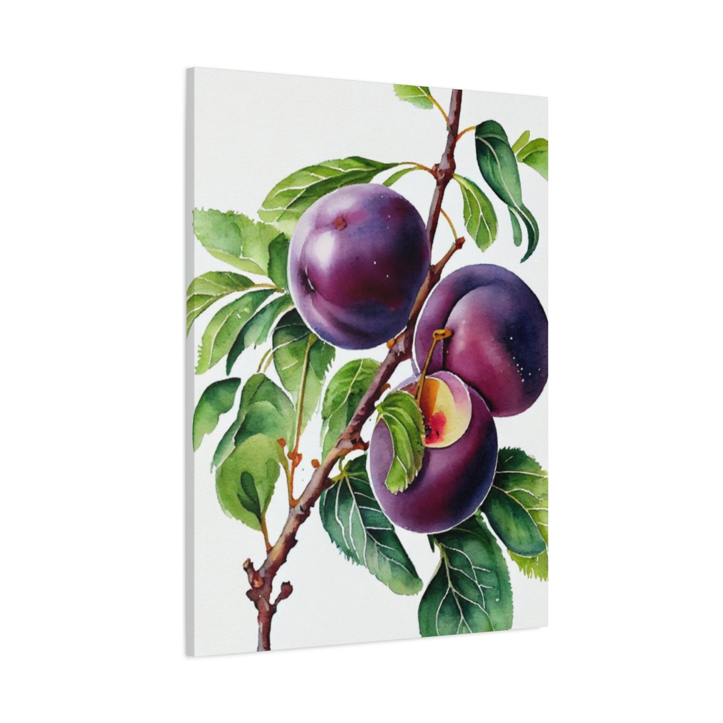 Black Plum Wall Art & Canvas Prints