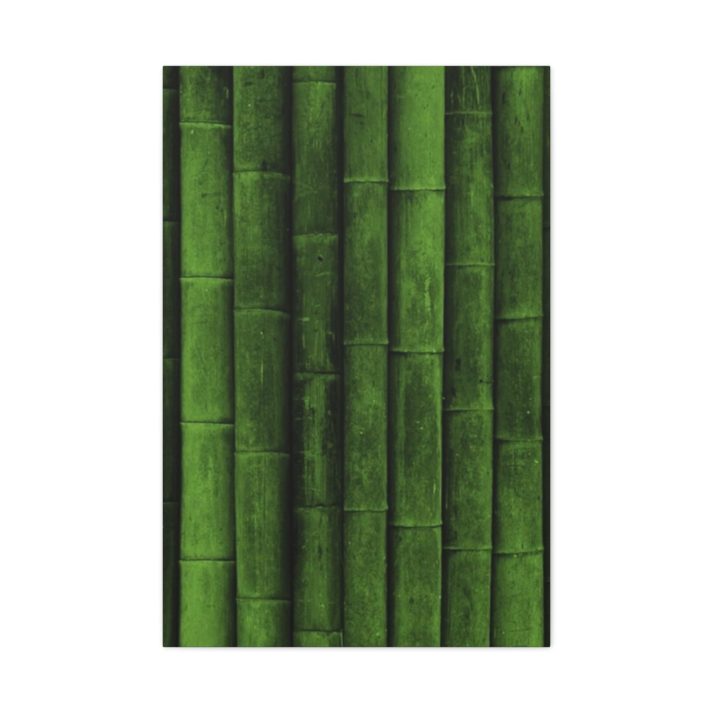 Olive Green Bamboo Painting Wall Art & Canvas Prints