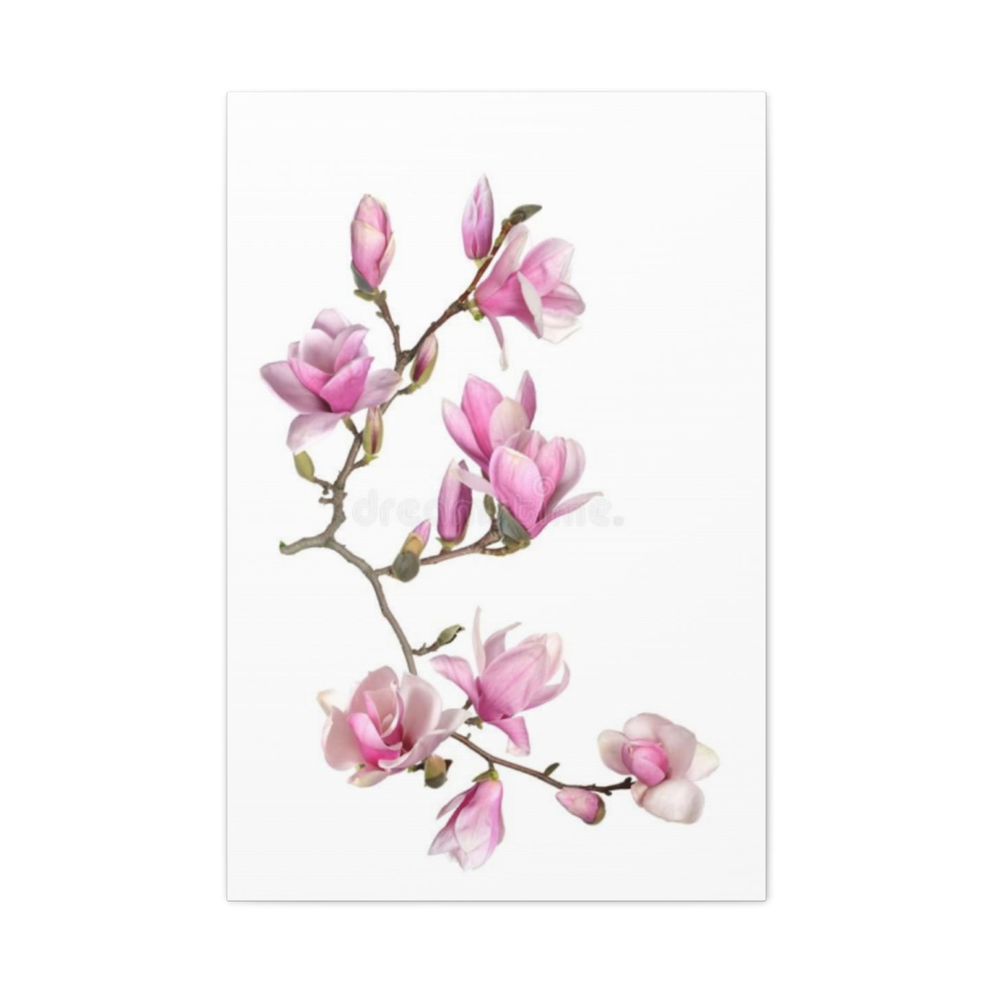 Beautiful Pink Magnolia Flower Painting Wall Art & Canvas Prints