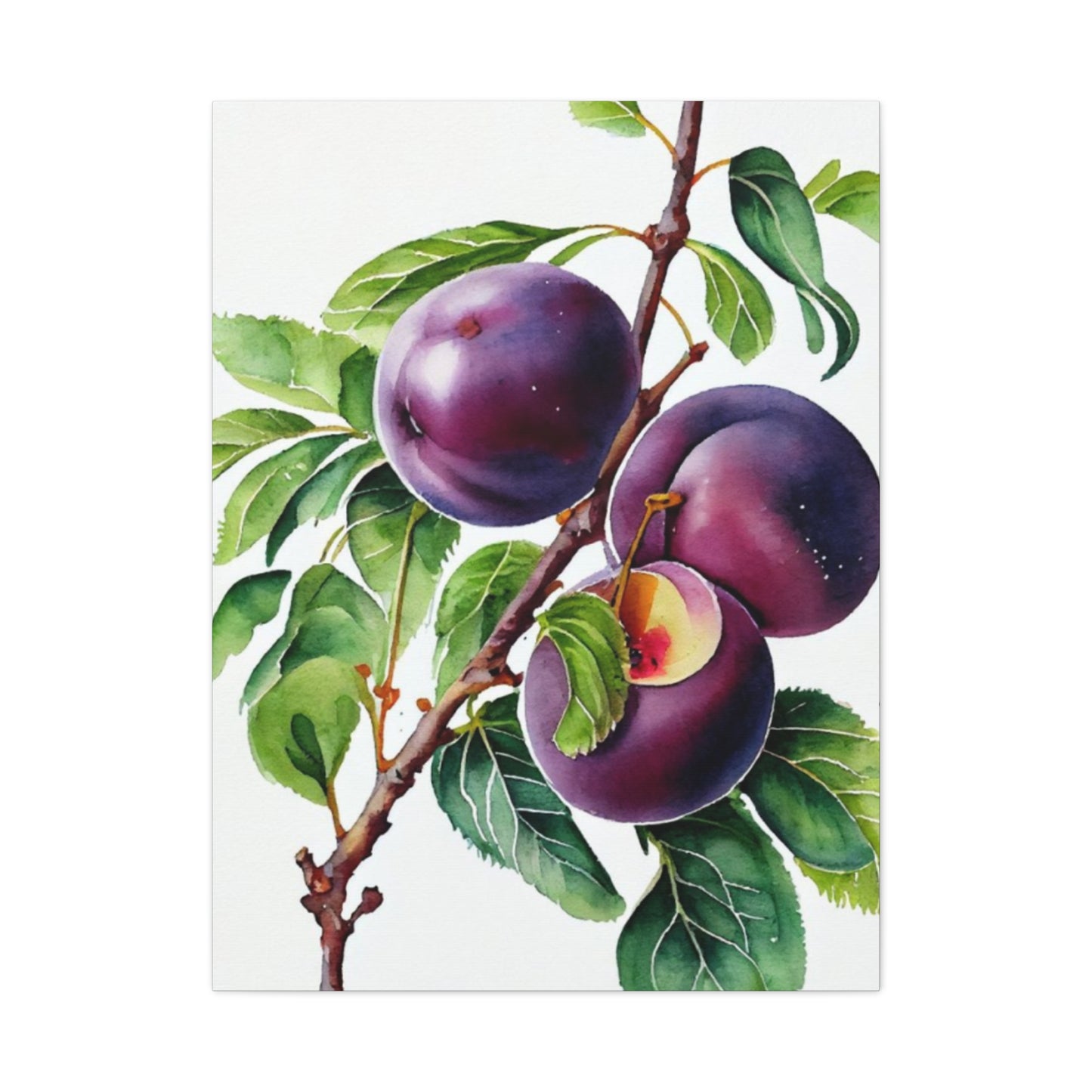 Black Plum Wall Art & Canvas Prints