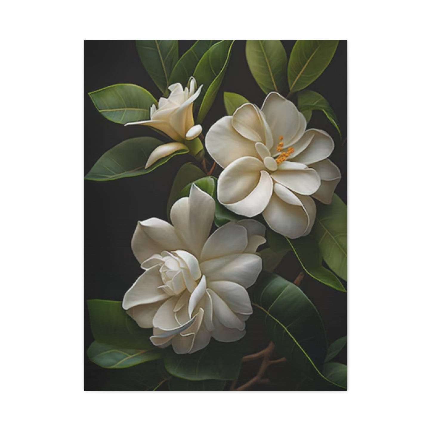 Beautiful Magnolia Flower Photo Wall Art & Canvas Prints