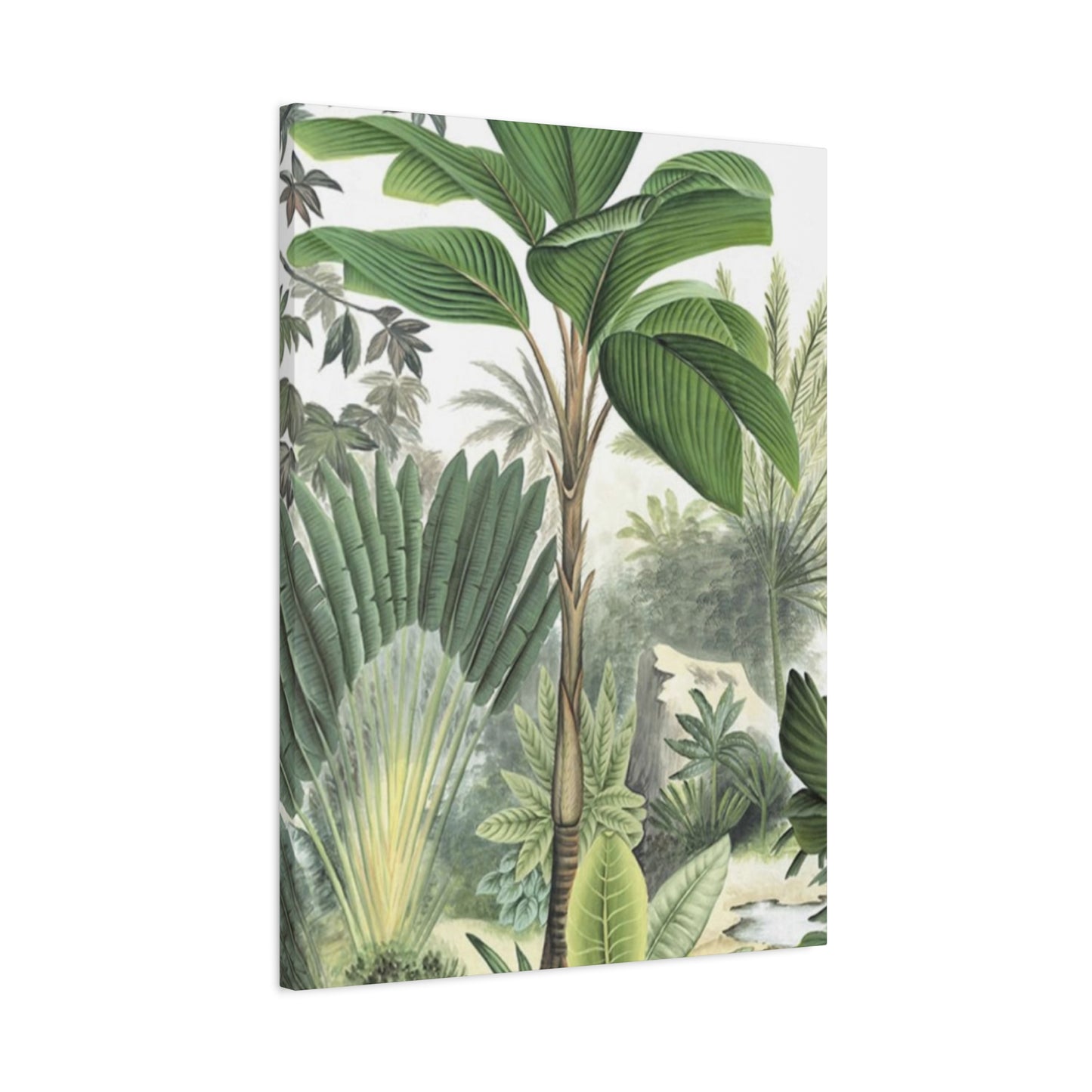 Palm Tree Green Leaves In Forest Wall Art & Canvas Prints