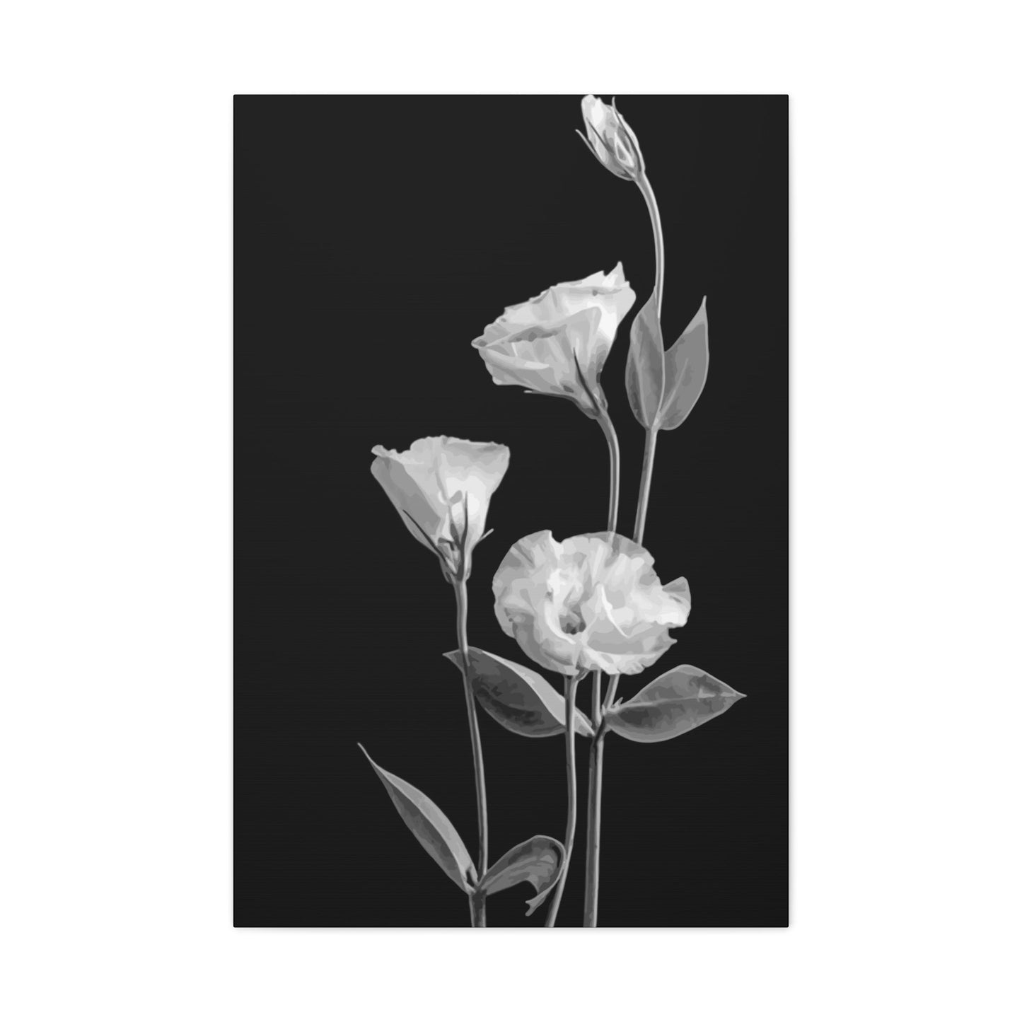 Black and White Flower Wall Art & Canvas Prints