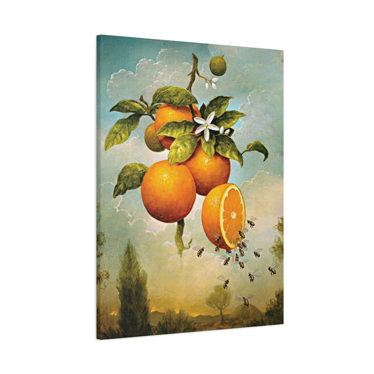 Orange Fruit Wall Art & Canvas Prints