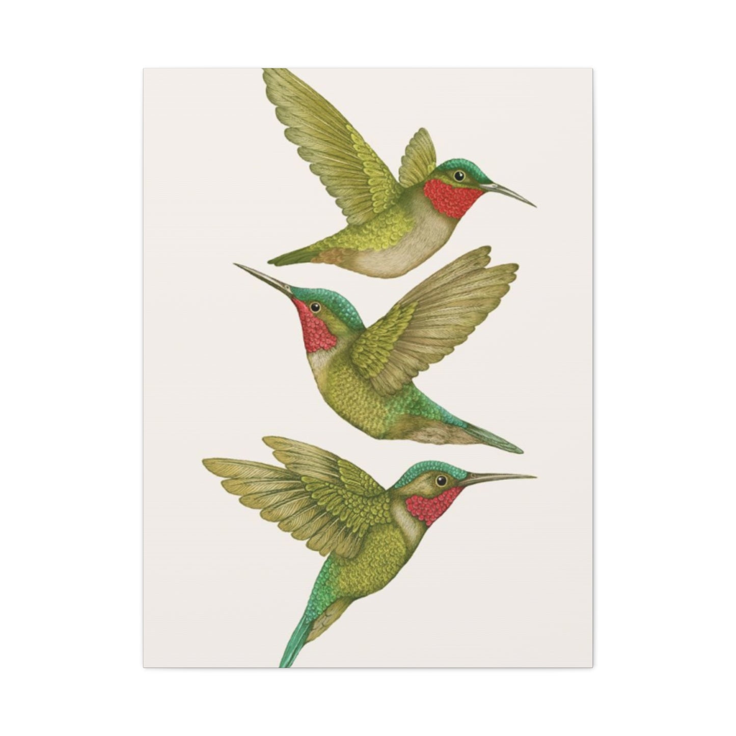 Three Green Humming Bird Painting Wall Art & Canvas Prints