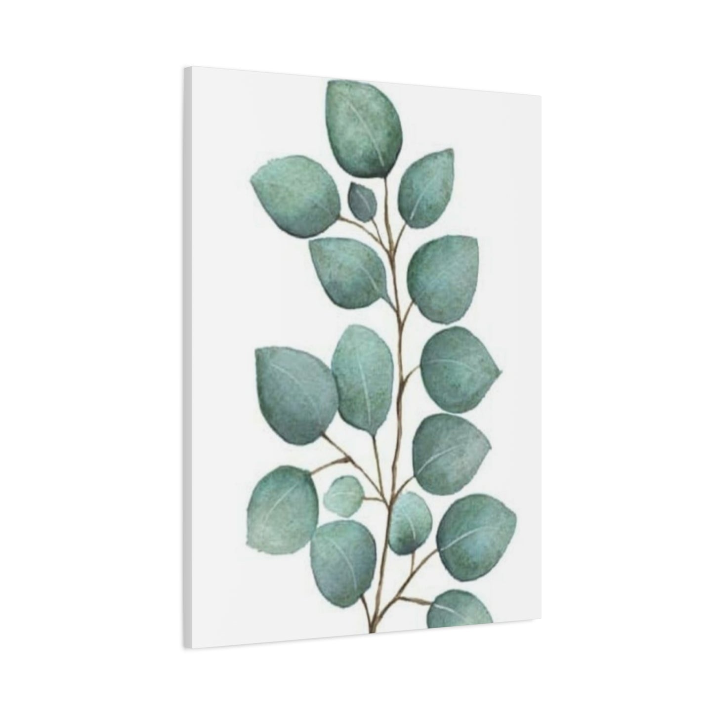 Eucalyptus Stem Wall Art & Canvas Prints