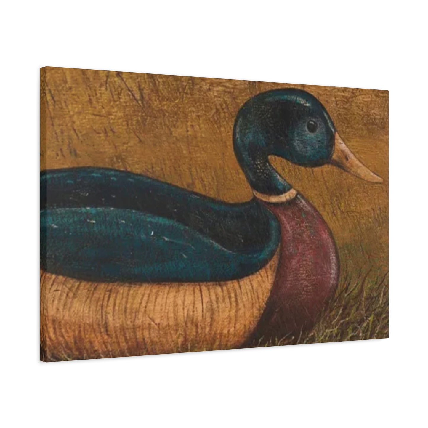 Duck Kimble Warren Wall Art & Canvas Prints