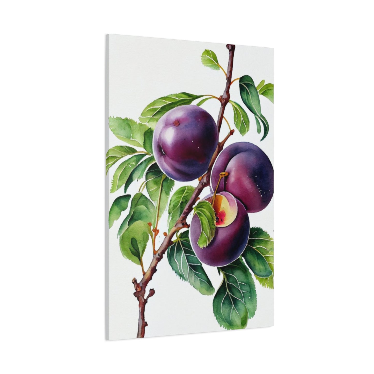 Black Plum Wall Art & Canvas Prints