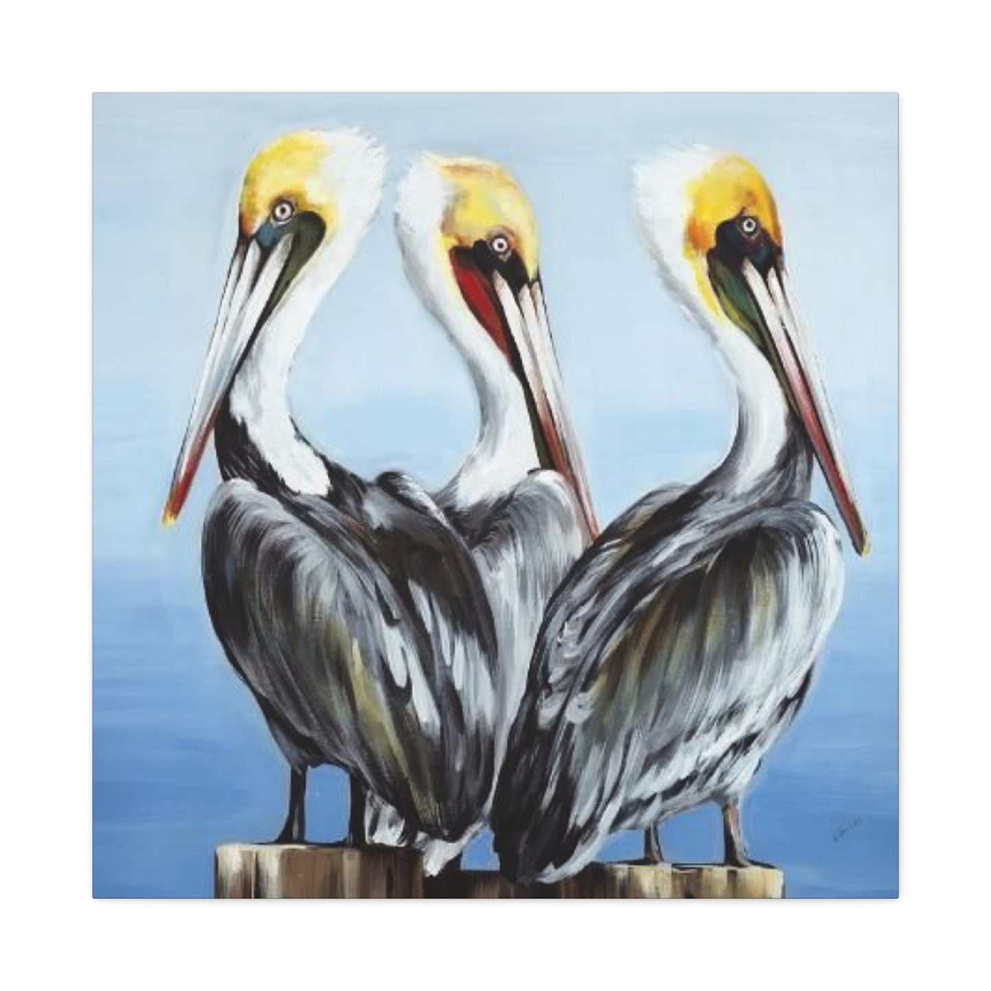 Three Pelican Family Poster Wall Art & Canvas Prints