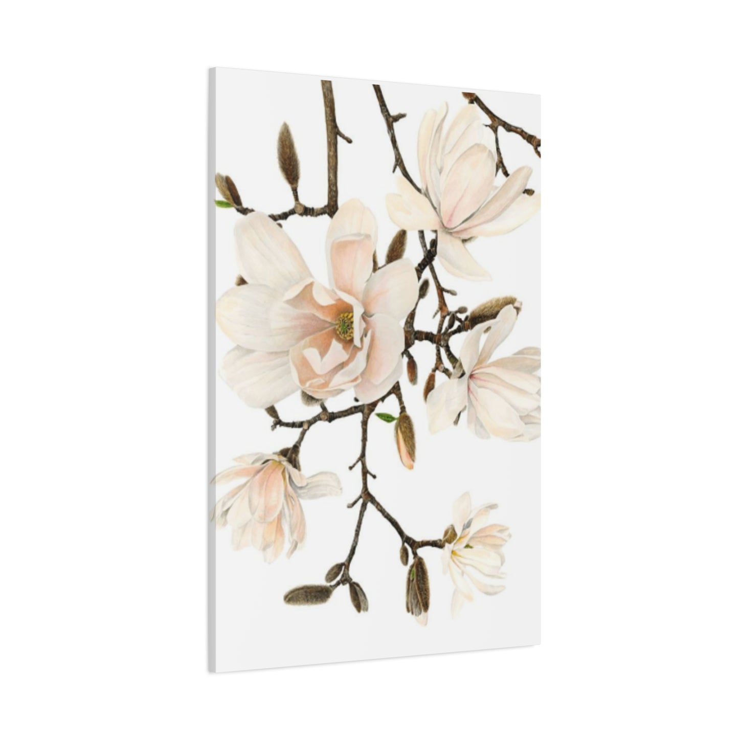 Pink Magnolia Flower Painting Wall Art & Canvas Prints