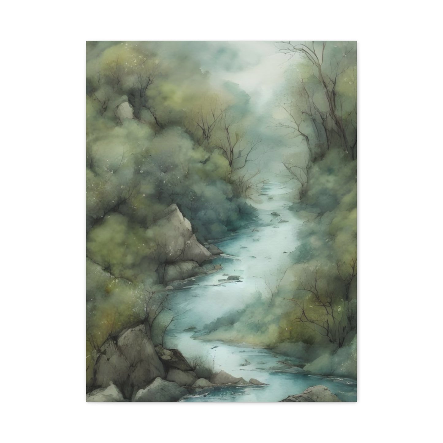 Rain Forest Wall Art & Canvas Prints