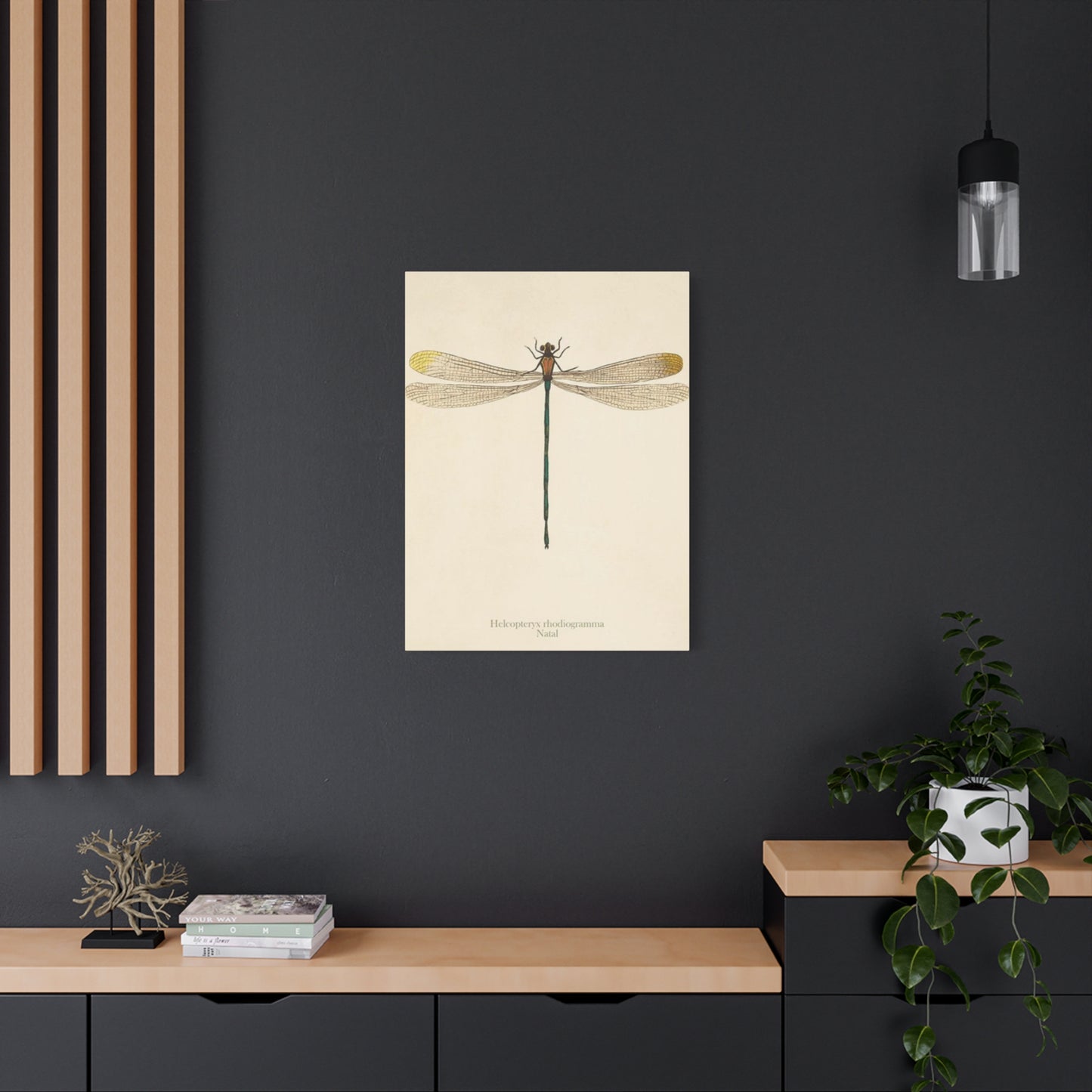 Long Tail Dragonfly Wall Art & Canvas Prints