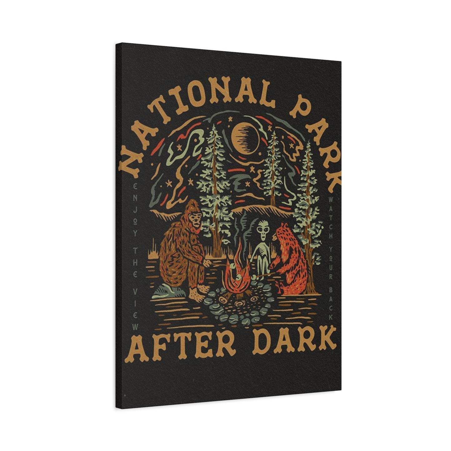 National Park After Dark Wall Art & Canvas Prints